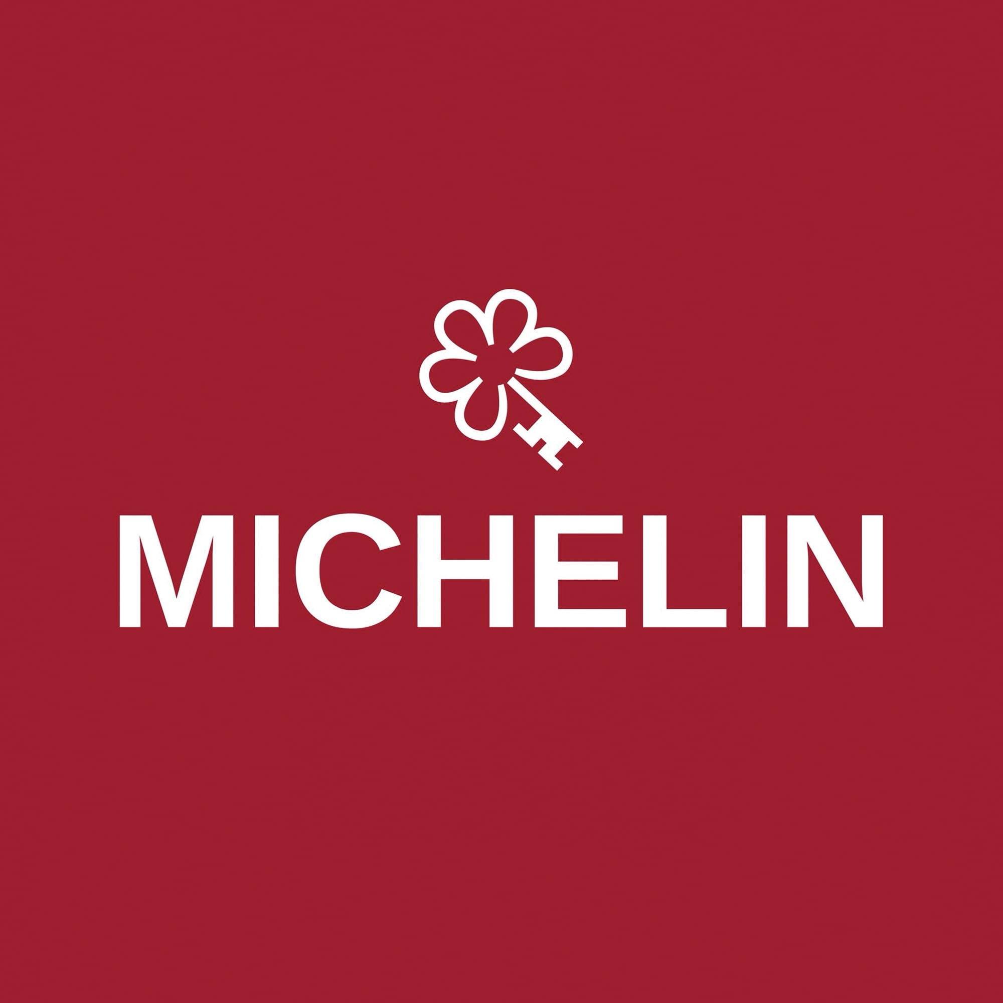 MICHELIN 2025