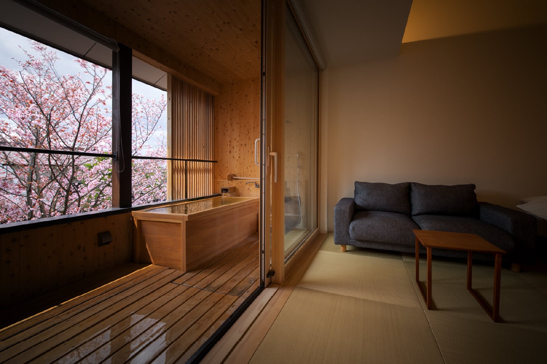 SAKURA 05 客室全景